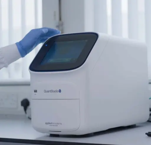 QuantStudio 5 real time PCR system