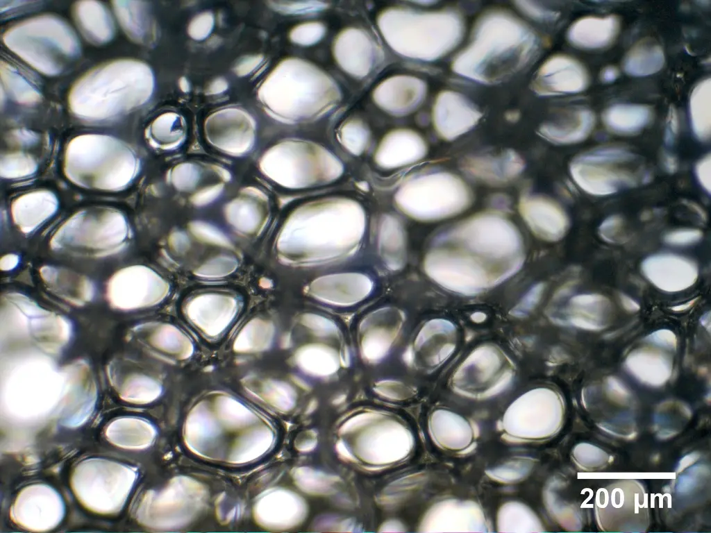 Foam viewed from the top for pore size analysis