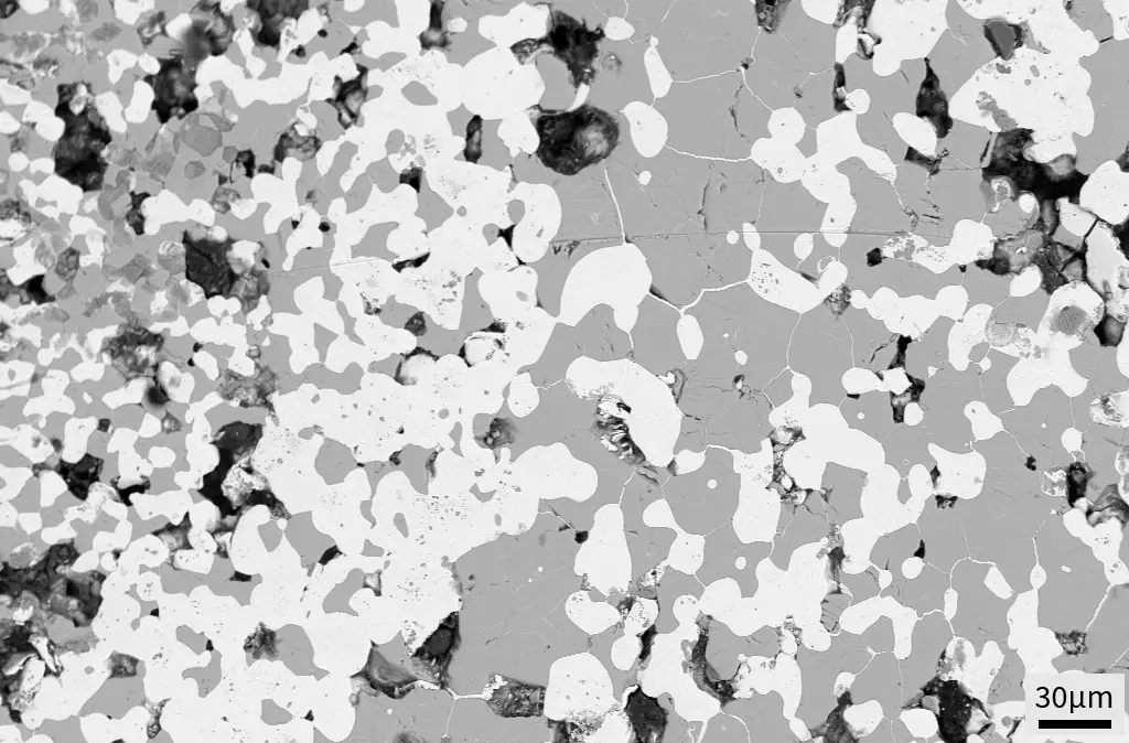 Scanning electron microscope image of a nickel superalloy